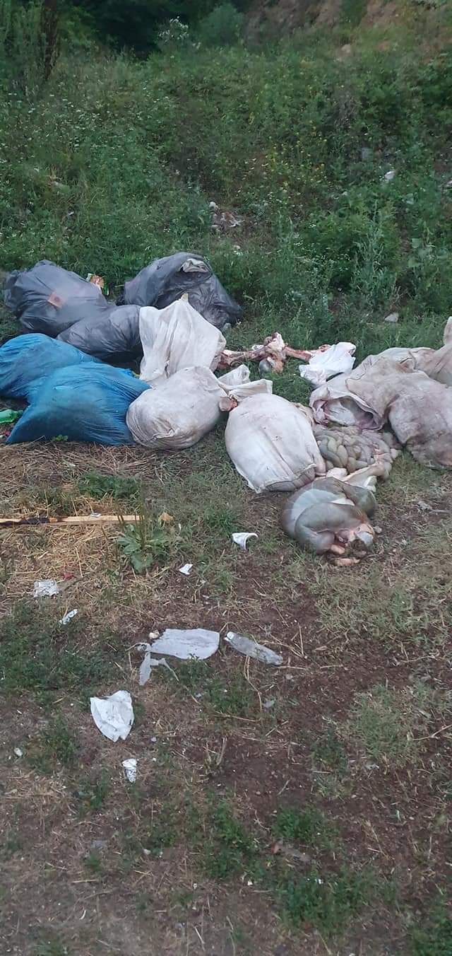 Disa individ pas therjes së kurbanave, a më tepër janë futur në mëkate a kanë bërë “ sevape “ ?!