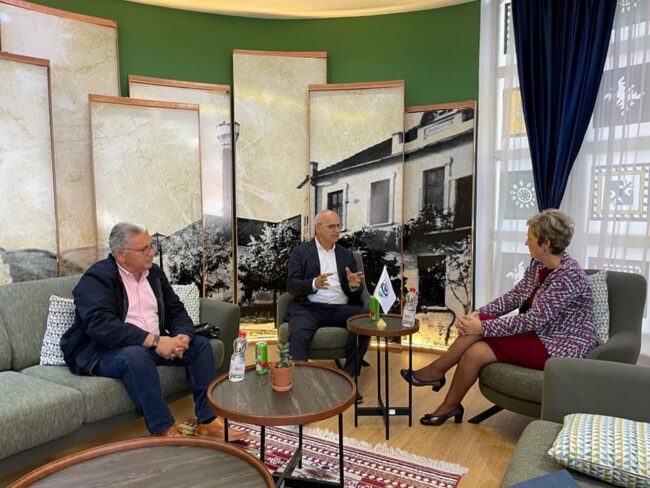 Sinani në takim me përfaqësuesit e “Fondit për Preshevë, Bujanoc dhe Medvegjë”